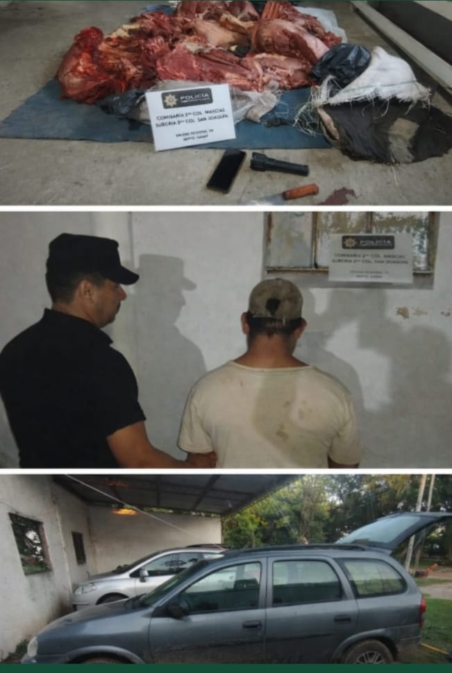 GARAY  🚔 PERSECUCIÓN POLICIAL POR ABIGEATO: UN APREHENDIDO Y SECUESTRO DE CARNE VACUNA